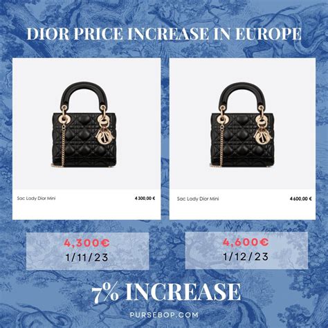 saddle bag dior outfit|dior saddle bag price increase.